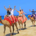 Beach ATV & Camel Ride COMBO in Cabo by Cactus Tours Park - Who Should Consider This Tour?