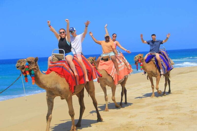 Beach ATV & Camel Ride COMBO in Cabo by Cactus Tours Park - Who Should Consider This Tour?