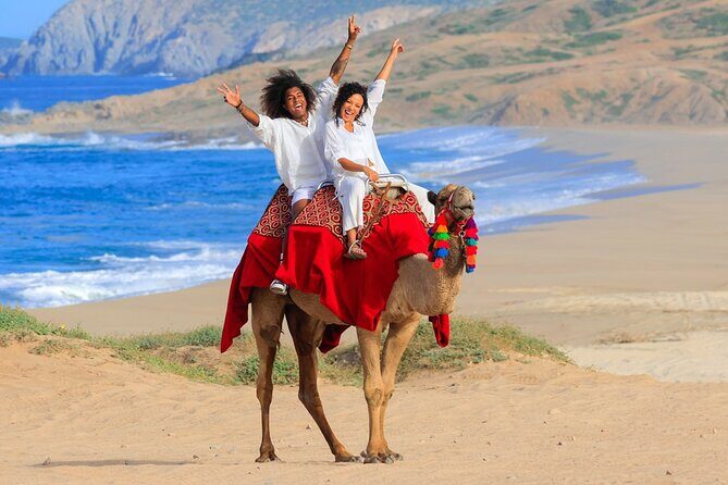 Beach Camel Ride & Encounter in Cabo - An In-Depth Look at the Beach Camel Ride Experience