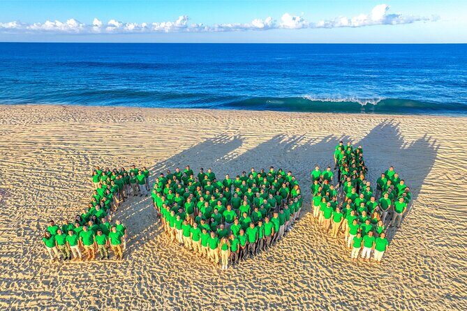 Beach Camel Ride & Sky Bike in Cabo by Cactus Tours Park - Detailed Itinerary Breakdown