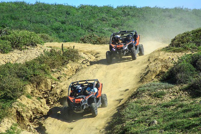 Beach & Desert Premium X3 UTV Tour in Cabo by Cactus Tours Park - An In-Depth Look at the UTV Adventure in Cabo