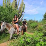 Beach Horseback Riding in Los Cabos - What to Expect from the Beach Horseback Riding Experience