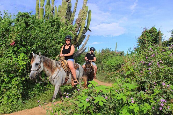 Beach Horseback Riding in Los Cabos - What to Expect from the Beach Horseback Riding Experience
