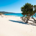 Beach Tour Porto Pino and Piscinnì - The Quiet Beauty of Piscinnì
