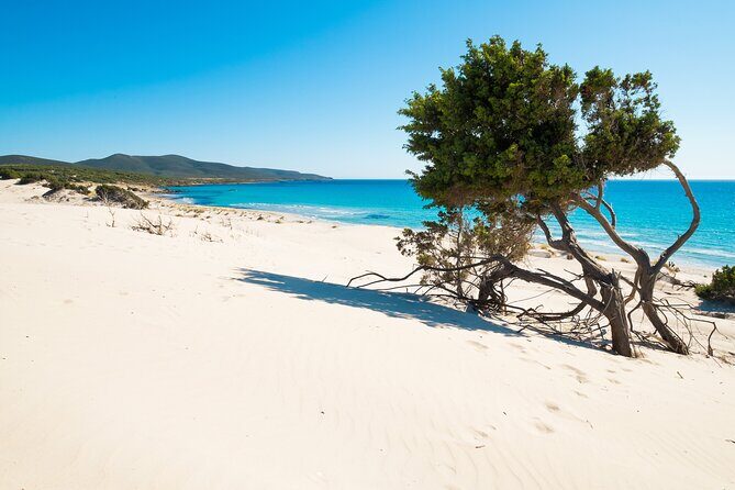 Beach Tour Porto Pino and Piscinnì - The Quiet Beauty of Piscinnì
