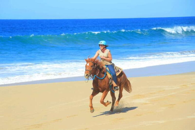 Beach UTV & Horseback Riding COMBO in Cabo by Cactus Tours - Authentic Experiences and Authenticities