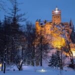 Bear Sanctuary and Bran Castle with a Professional Licensed GuideDay Trip - Who Should Consider This Tour?