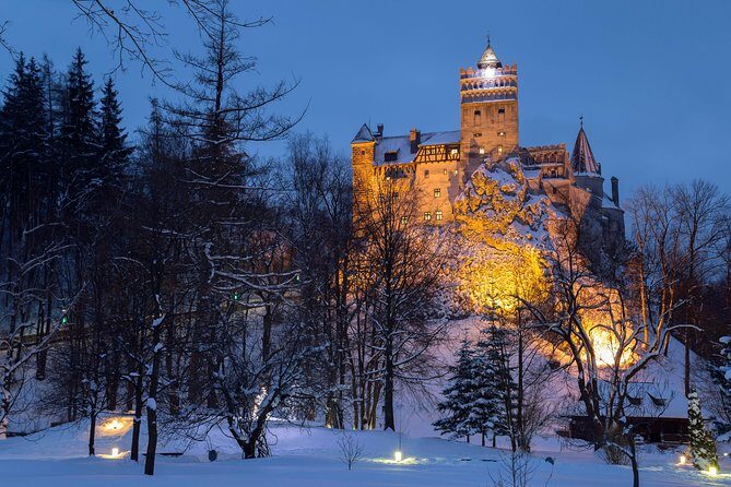 Bear Sanctuary and Bran Castle with a Professional Licensed GuideDay Trip - Who Should Consider This Tour?