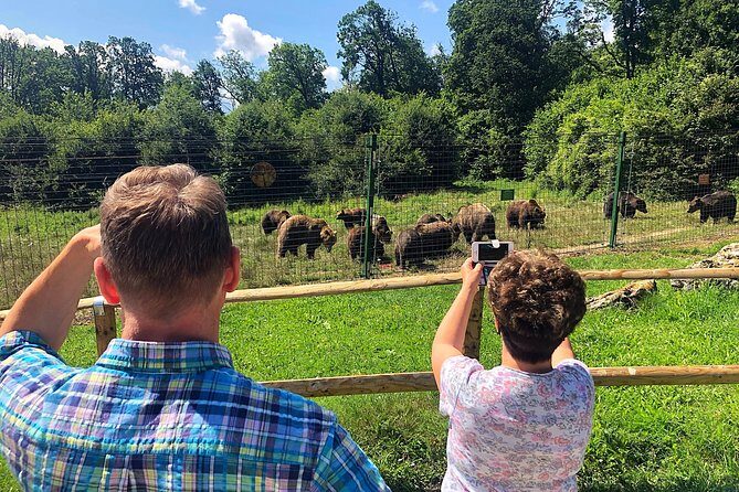 Bear Sanctuary, Bran (Dracula) Castle, Peles Castle From Brasov - The Value of a Guided, All-Inclusive Day