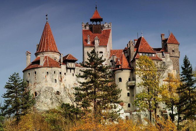 Bear Sanctuary Zarnesti,Bran Castle,Rasnov Fortres w/Hotel pickup - FAQs