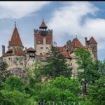 Bears Sanctuary, Dracula's Castle and Braov City - Private Tour - Authentic Encounters and Value