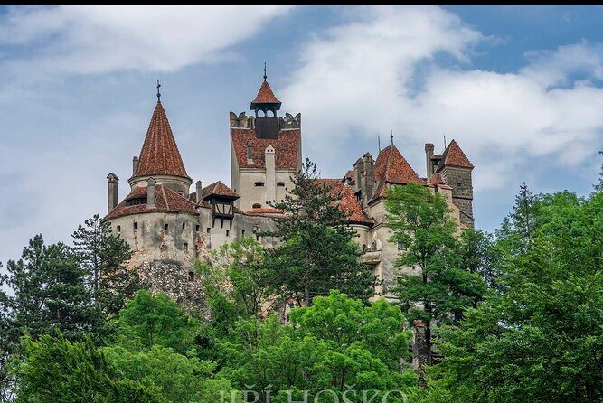 Bears Sanctuary, Dracula's Castle and Braov City - Private Tour - Authentic Encounters and Value