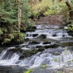 Beautiful Hike on Tongass National Forest's Lunch Creek Trail - Is It Right for You?