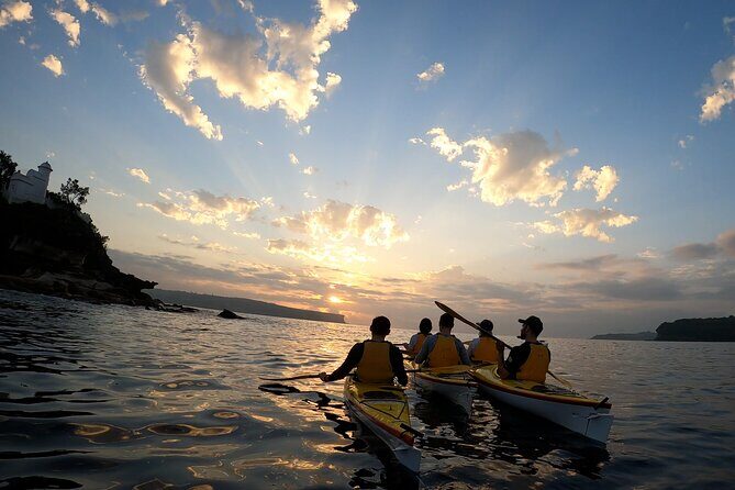 Beautiful Middle Harbour Sunriser / Guided Kayaking Private Tour - An Honest Look at the Middle Harbour Sunriser Kayaking Tour