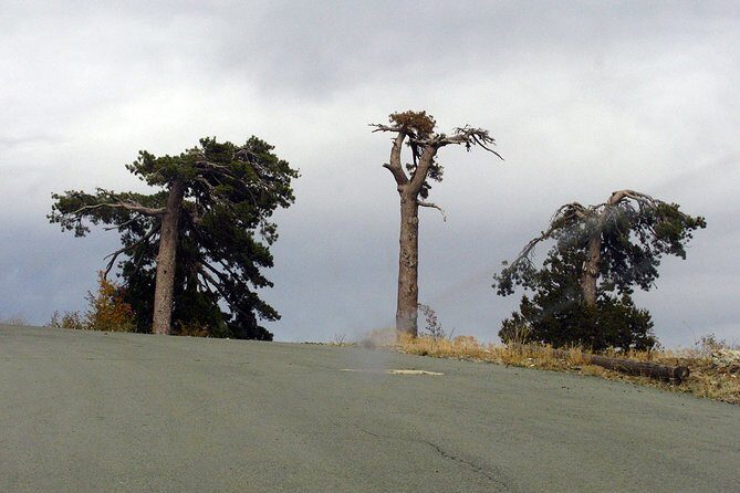 Beauty, Nature and Charm of Troodos Mountains from Paphos - Exploring the Troodos: A Deep Dive into the Highlights
