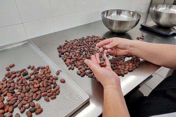 Become a chocolatier for a day, in Modica raw chocolate - Why This Tour Offers Real Value