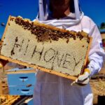 Bee Farm Tour & Honey Tasting - Who Will Love This Tour?
