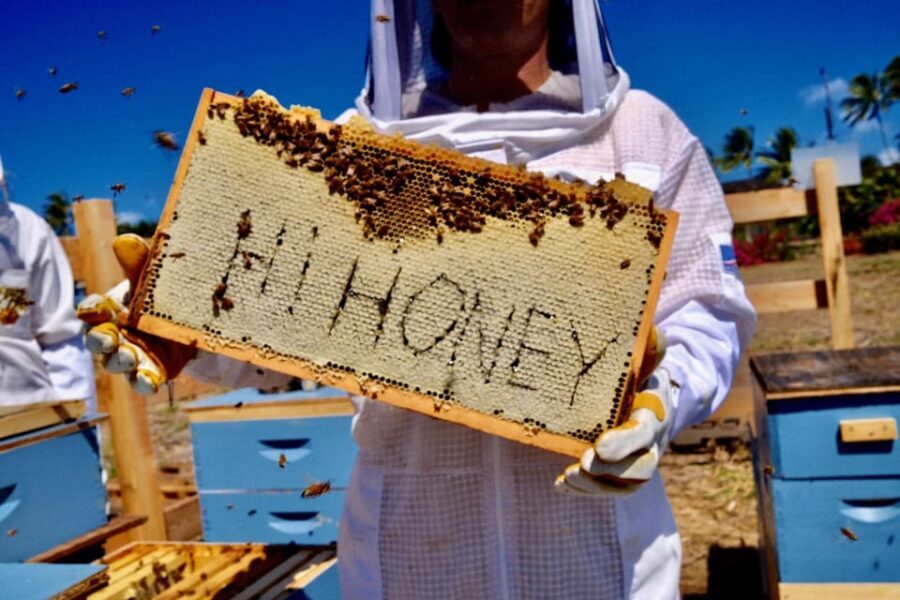 Bee Farm Tour & Honey Tasting - Who Will Love This Tour?