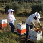 Beekeeper for a Day close to Nafplio - Frequently Asked Questions