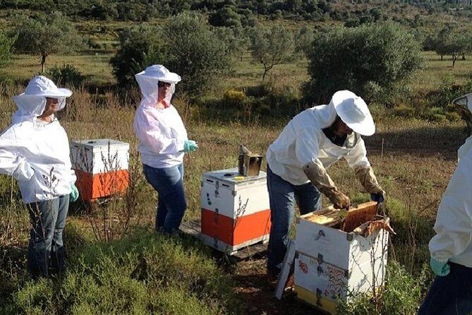 Beekeeper for a Day close to Nafplio - Frequently Asked Questions
