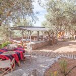 Beekeeping and Honey Stories in Itea - Authentic Moments and Visitor Insights