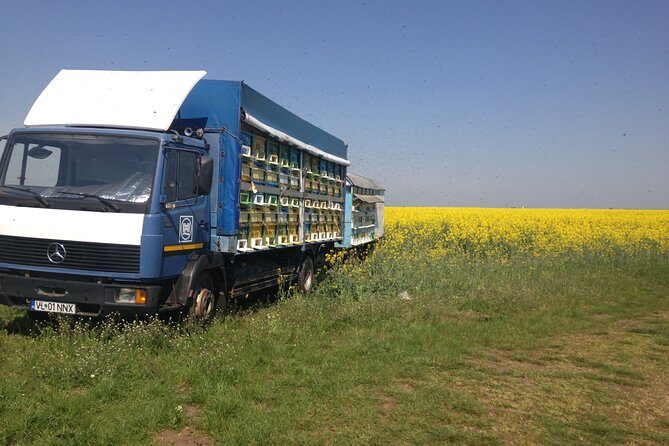 Bees Adventure in Romania - Private Day Trip from Bucharest - The Sum Up: Who Should Consider This Tour?