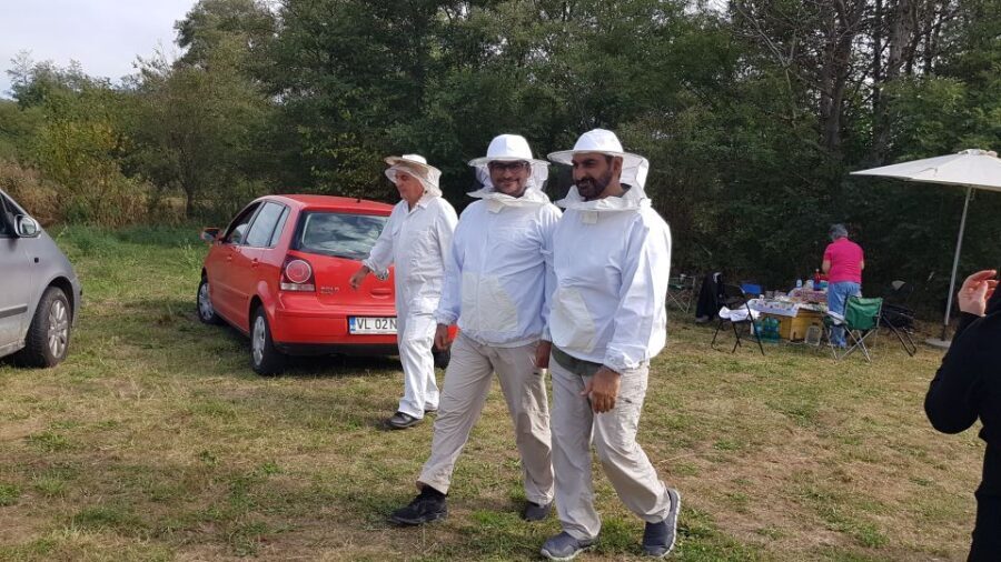Bees in Romania - Private Beekeeping Lesson and Local Lunch - A Full Look at the Beekeeping Experience in Romania