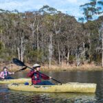 Bega River Kayaking Tour - Who Will Love the Bega River Kayaking Tour?