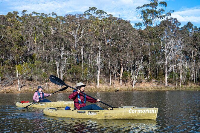 Bega River Kayaking Tour - Who Will Love the Bega River Kayaking Tour?