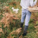 Beginner Foraging Walk: Wild food walking tour & tasters - Final Thoughts