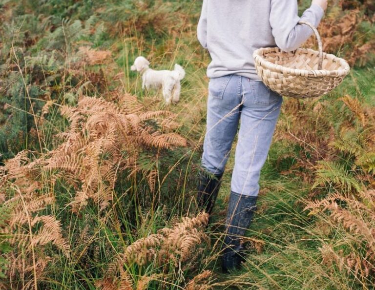 Beginner Foraging Walk: Wild food walking tour & tasters - Final Thoughts