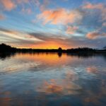 Beginners Wildlife Photography Workshop - Final Thoughts: Is This Experience Worth It?