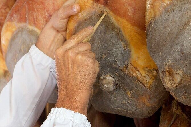 Behind the Scenes at Prosciutto di Parma Producer: Tour & Tasting - Why This Tour Offers Great Value
