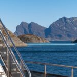 Beiarfjord & Saltstraumen Cruise with Guide - An In-Depth Look at the Beiarfjord & Saltstraumen Cruise