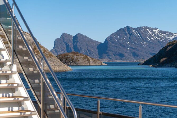 Beiarfjord & Saltstraumen Cruise with Guide - An In-Depth Look at the Beiarfjord & Saltstraumen Cruise