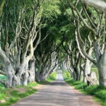 Belfast: Game of Thrones and Giants Causeway Private Tour - A Closer Look at the Experience
