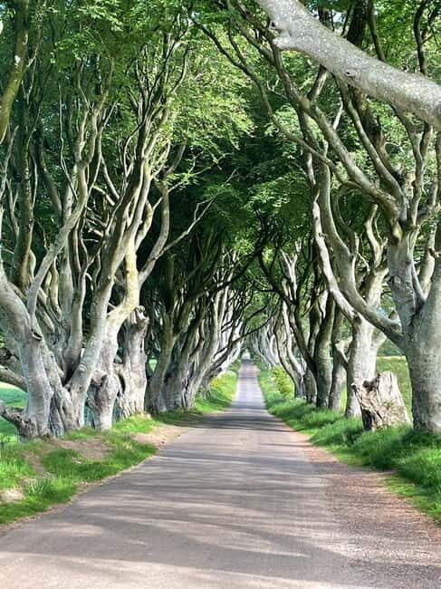 Belfast: Game of Thrones and Giants Causeway Private Tour - A Closer Look at the Experience