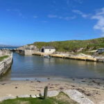 Belfast: Giants Causeway Tour - What the reviews say