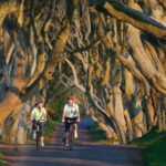 Belfast: Giant's Causeway Tour with Titanic Experience Entry - Practical Insights and Value