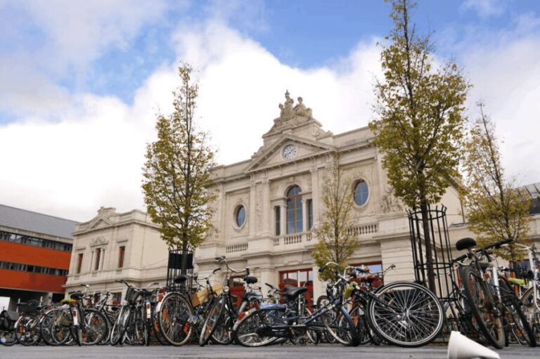 Belgium: Excursion to Mechelen and Leuven by train - Who Should Consider This Tour?