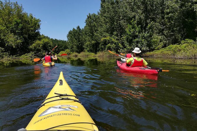 Belgrade Amazon Kayak Adventure - Final Thoughts