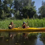 Belgrade: Great War Island Kayak Adventure - A Detailed Look at the Belgrade: Great War Island Kayak Adventure