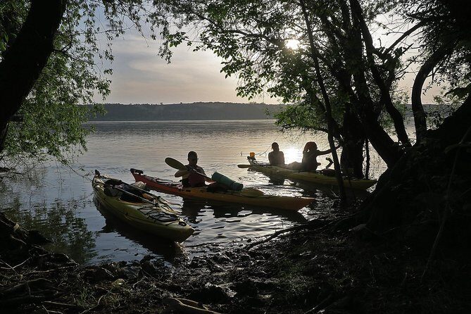 Belgrade War Island Kayak Tour - Why This Tour Stands Out
