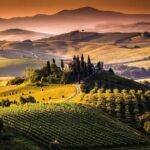 Bella Toscana Private Tour: 2 Chianti Wineries and San Gimignano From Livorno - Who Would Love This Tour?