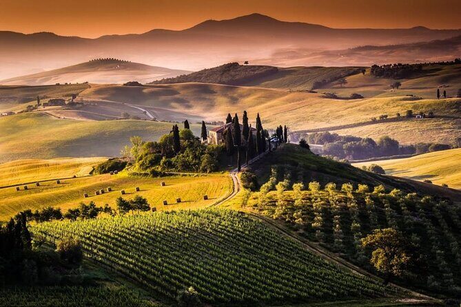 Bella Toscana Private Tour: 2 Chianti Wineries and San Gimignano From Livorno - Who Would Love This Tour?