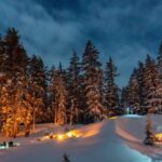 Bend: Cascade Mountains Snowshoeing Tour and Bonfire - An In-Depth Look at the Bend Snowshoeing and Bonfire Tour