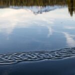 Bend: Deschutes River Guided Flatwater Kayaking Tour - What You Can Expect on the Water
