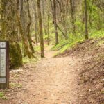 Bentonville Singletrack Mountain Bike Tour - Detailed Breakdown of the Itinerary