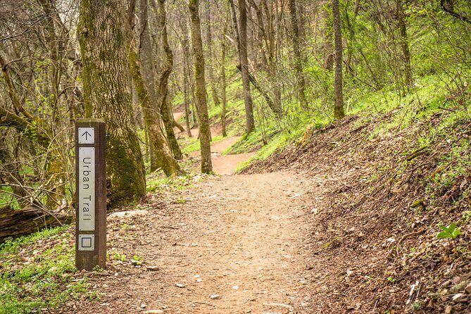 Bentonville Singletrack Mountain Bike Tour - Detailed Breakdown of the Itinerary