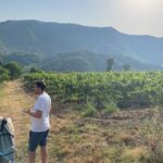 Berat | History & Local Food - Practical Details and Overall Value